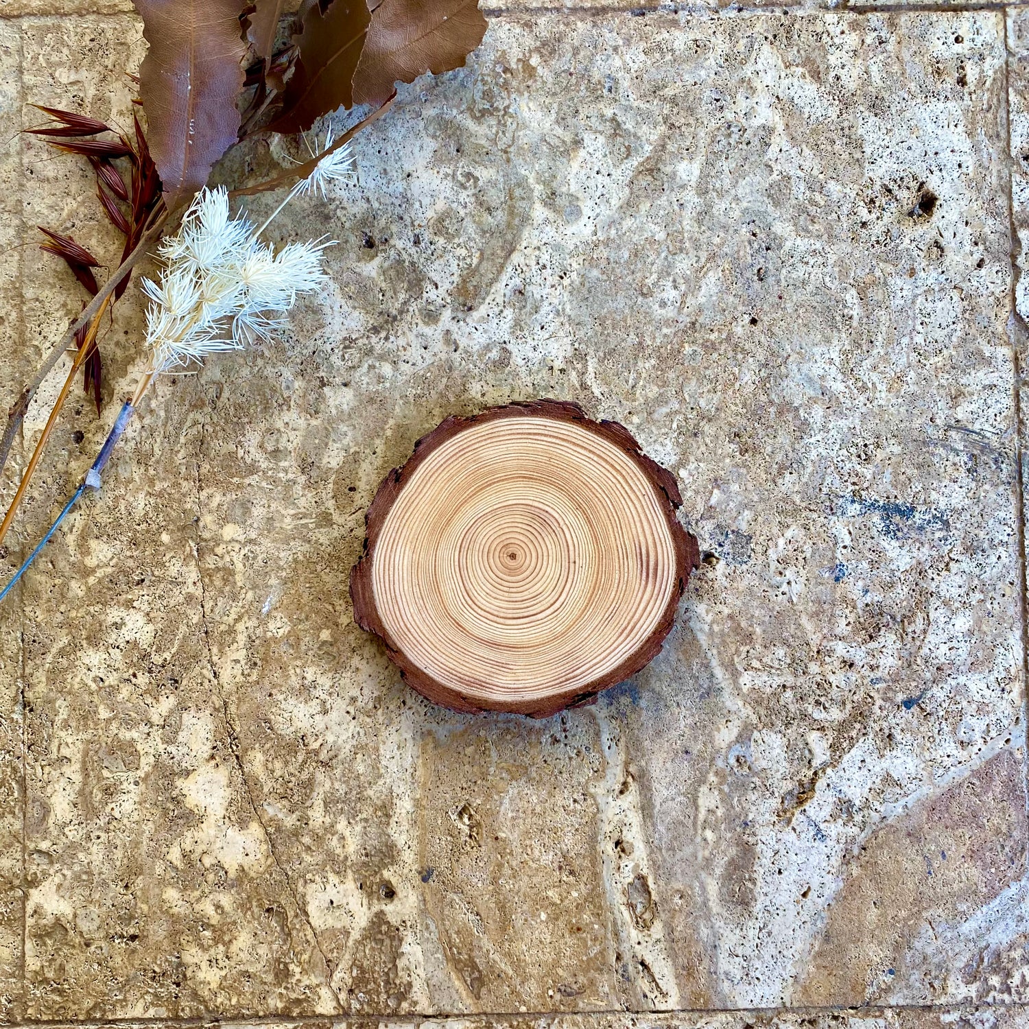 Cedar Wood Coaster